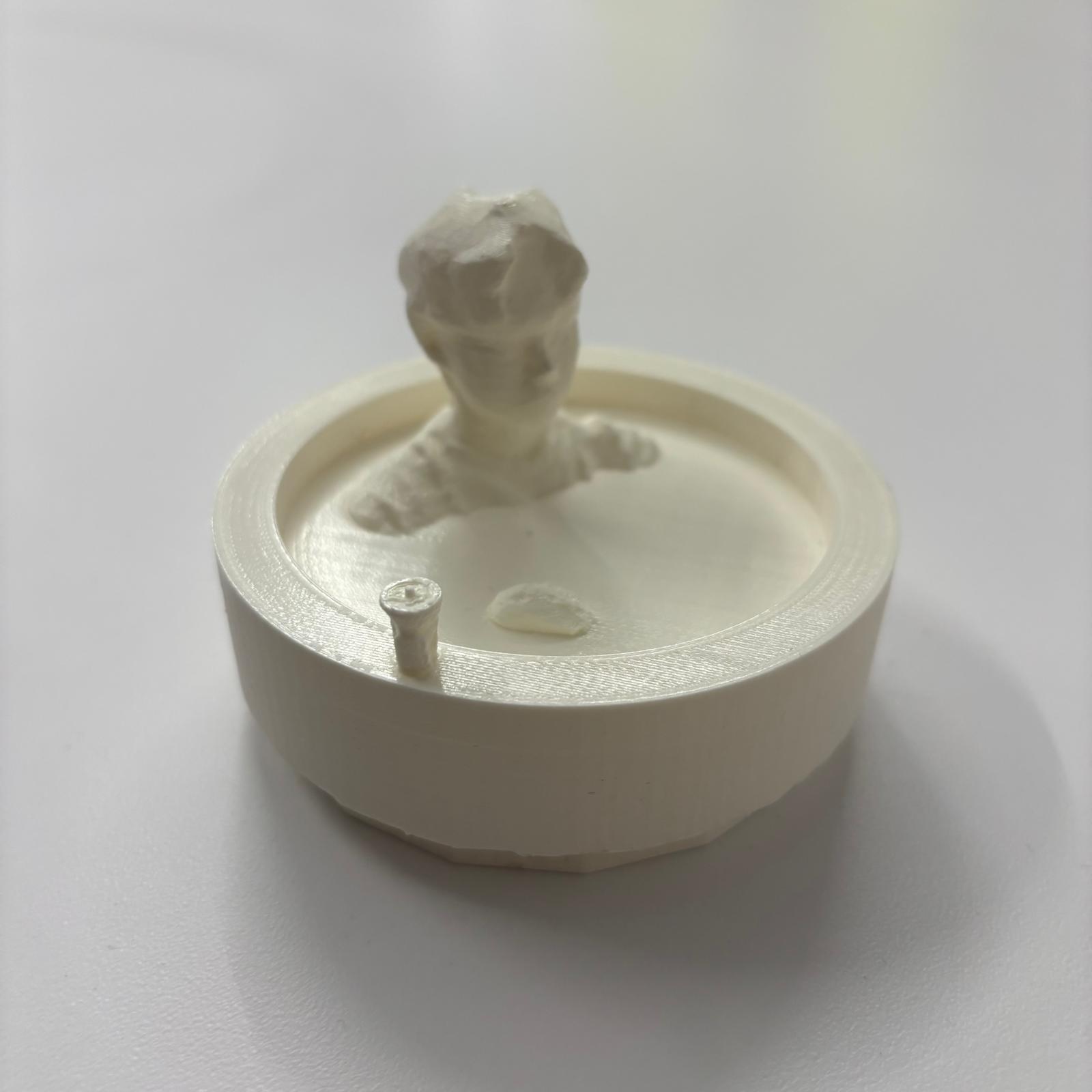 3D Printed Selfie