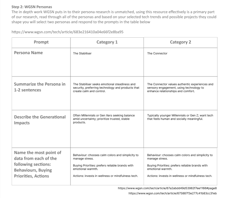 WGSN Persona research Activity